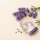 Lavendel