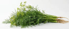 Dill