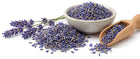 Lavendel
